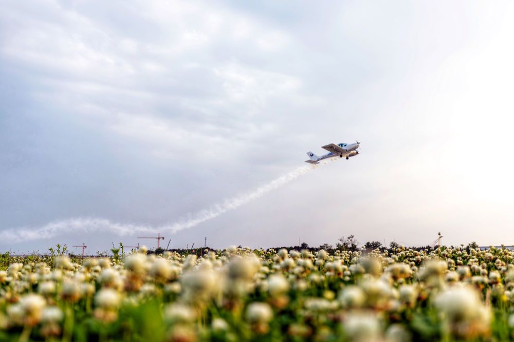 “春日经济”多点开花 市场潜力持续释放(图4)