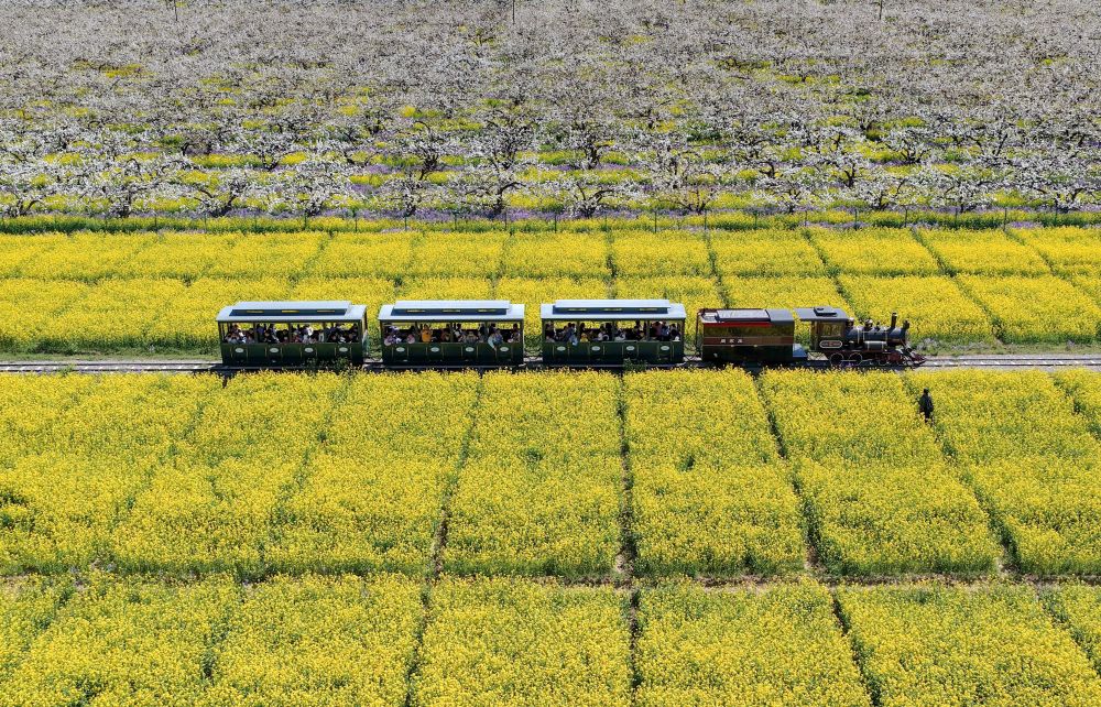 “春日经济”多点开花 市场潜力持续释放(图5)