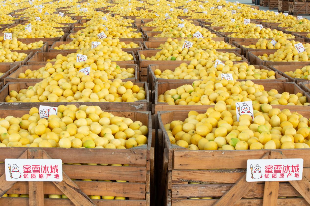 蜜雪冰城发布2025年ESG报告 构建全链条绿色普惠价值链(图3)