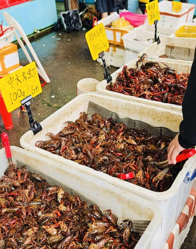 暴跌8元斤小龙虾餐饮讲不出新故事(图1)