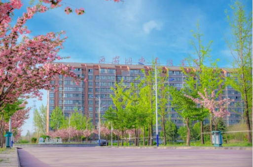 填报8105相约西安城市建设职业学院升学筑梦就业致远(图10)