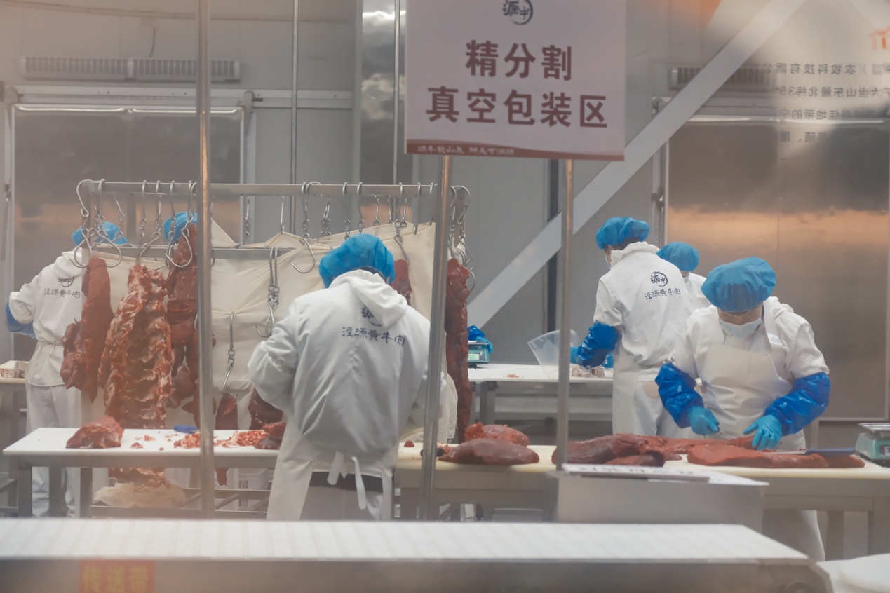 六盘山肉牛走向全国大市场｜活力中国调研行(图3)